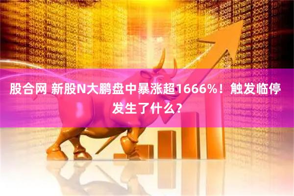 股合网 新股N大鹏盘中暴涨超1666%！触发临停 发生了什么？