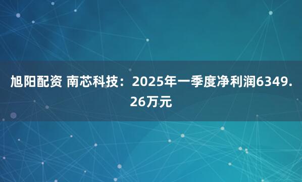 旭阳配资 南芯科技：2025年一季度净利润6349.26万元
