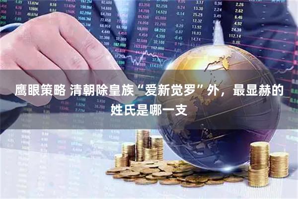 鹰眼策略 清朝除皇族“爱新觉罗”外，最显赫的姓氏是哪一支
